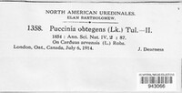 Puccinia obtegens image